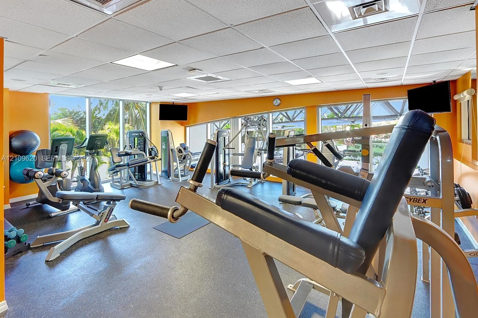 Fitness center featuring wall-to-wall windows, rubberized flooring, and drop-ceiling lighting