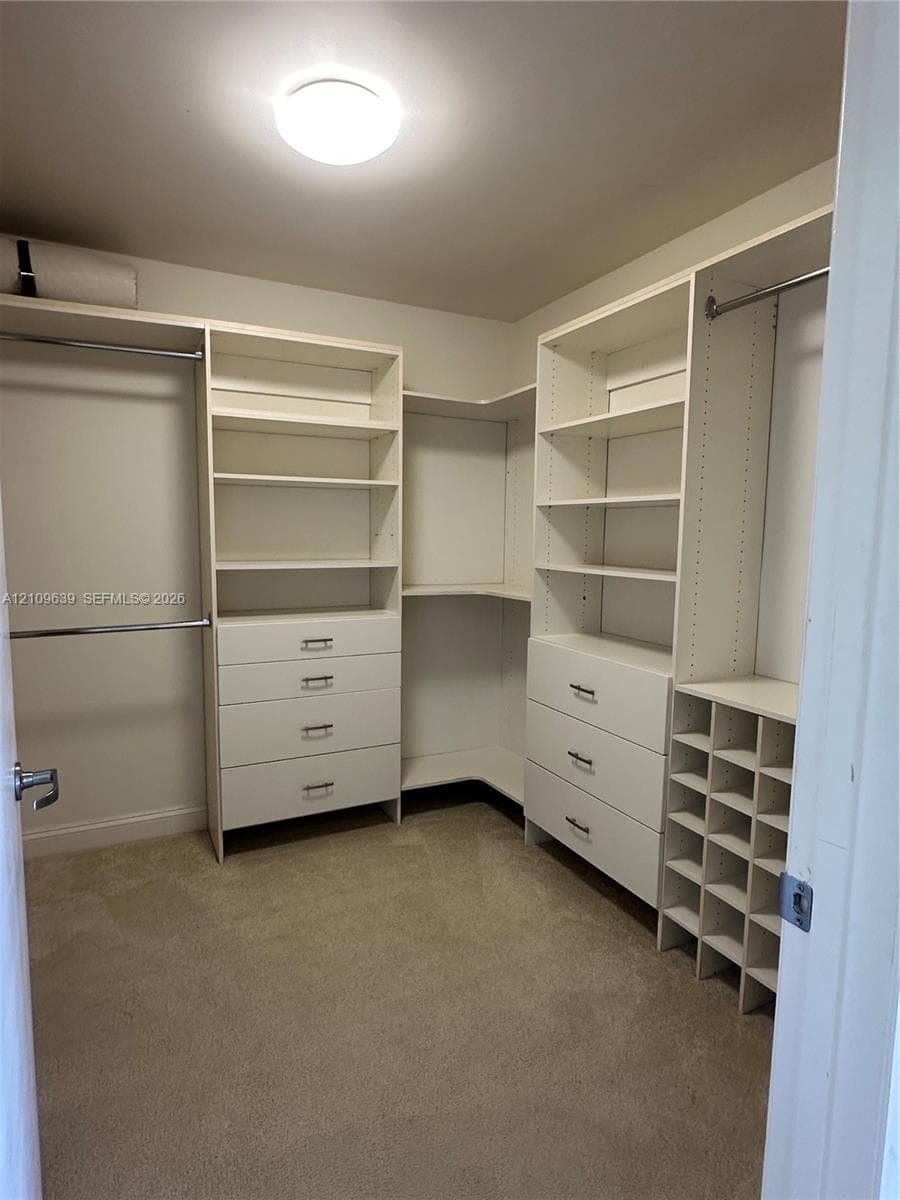 Walk-in closet featuring floor-to-ceiling built-in white cabinetry, multi-level hanging rods, integrated drawer banks, and dedicated shoe shelving