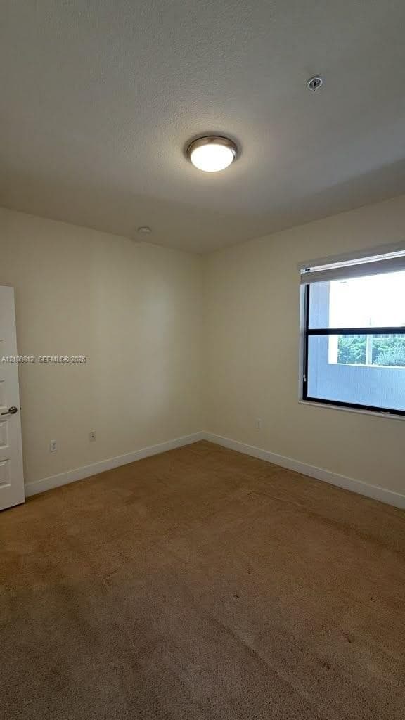 Neutral-toned room featuring carpeted flooring, a flush-mount overhead light fixture, and a single-pane window