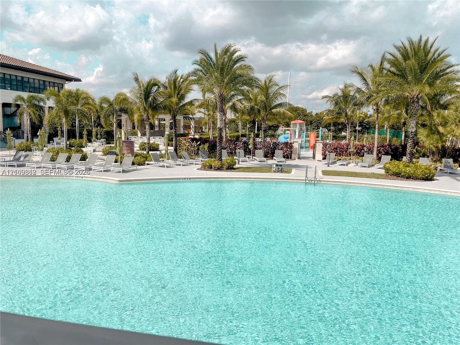 Swimming pool with a concrete pool deck, surrounded by mature palm trees and landscaped shrubbery