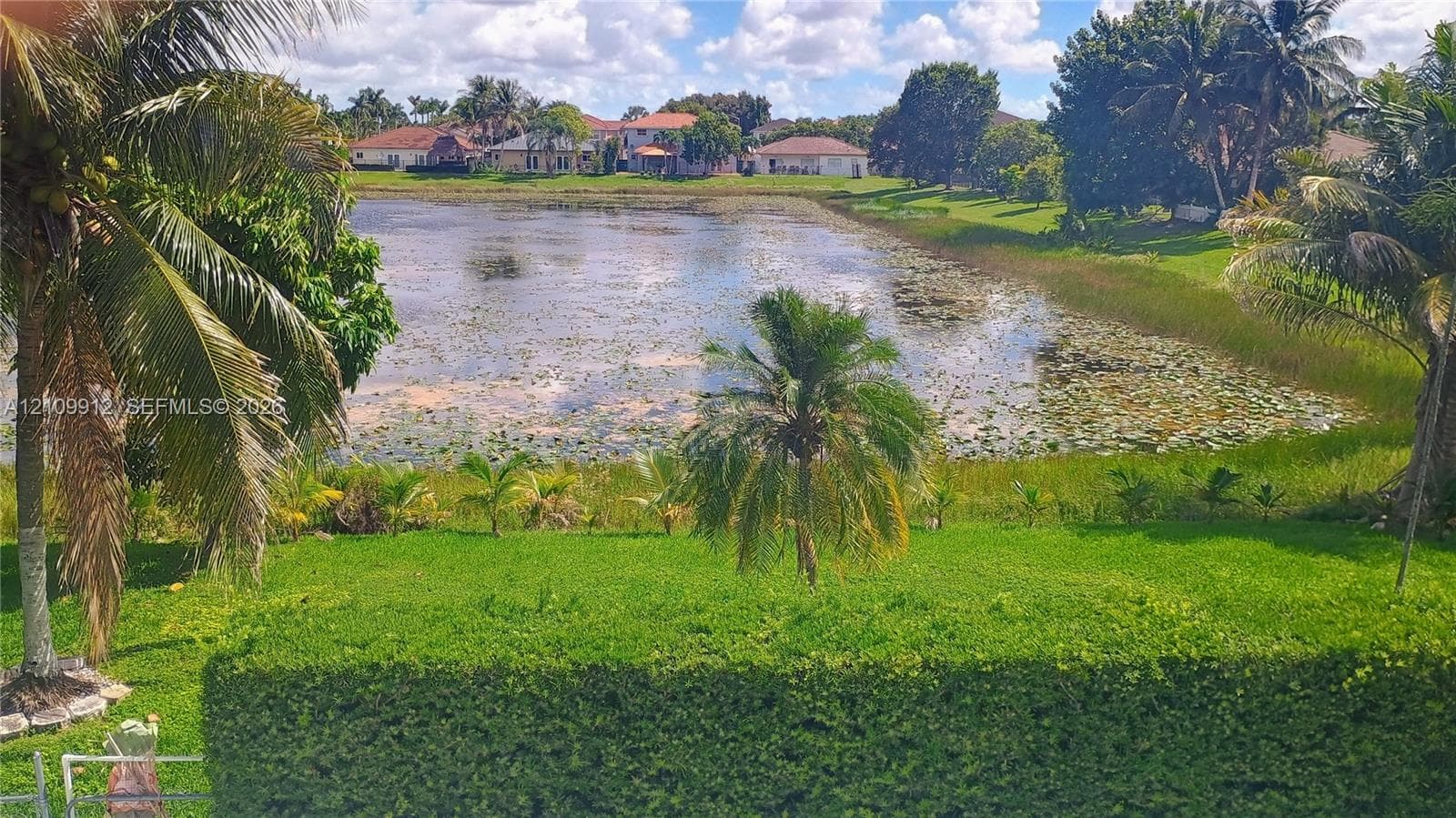 Waterfront lot featuring a manicured lawn, mature palm trees, and native vegetation