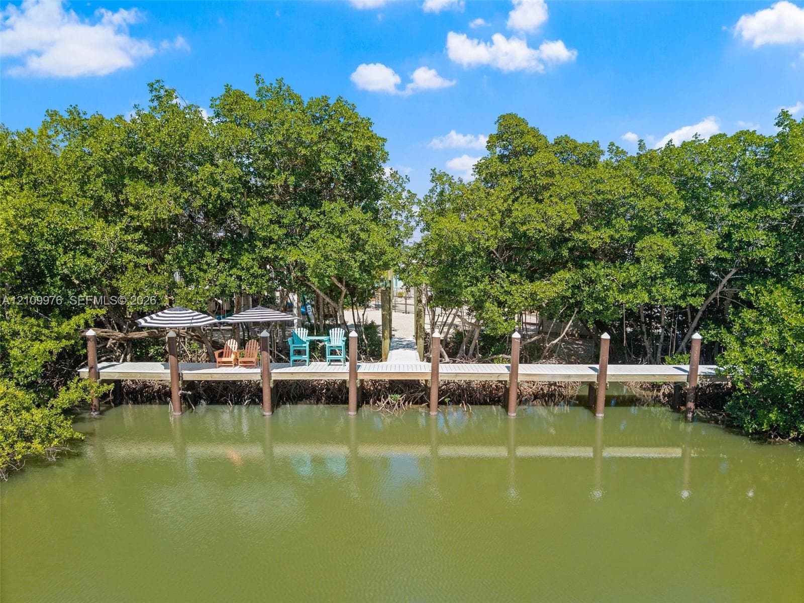 Private dock featuring wood-plank decking and anchored pilings, surrounded by mature trees