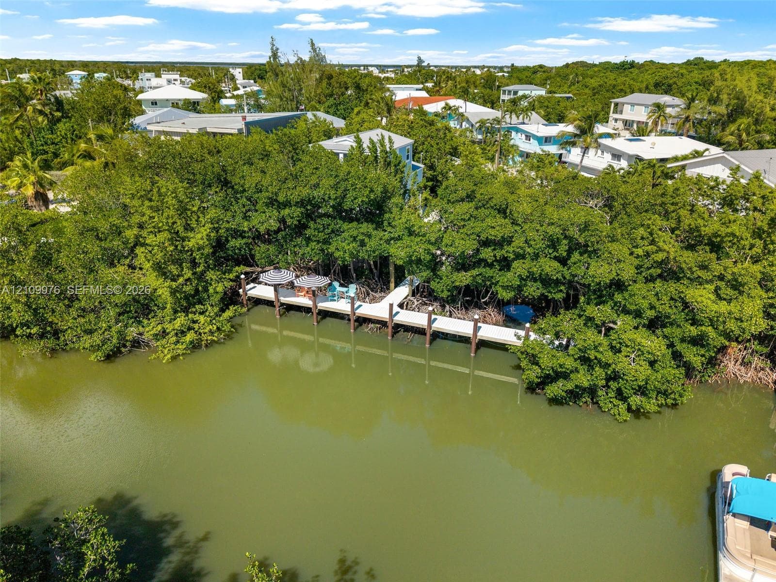 Waterfront property featuring a private dock and dense mature vegetation