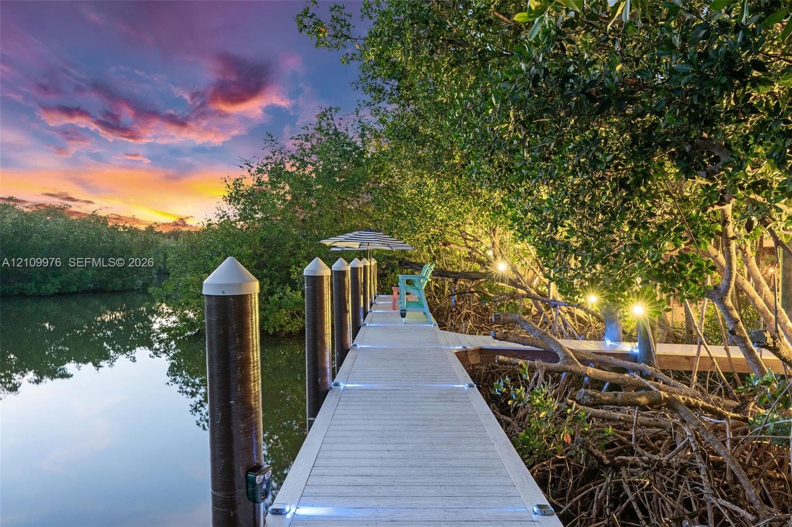 Waterfront dock featuring composite decking, integrated deck lighting, and structural pilings nestled among native mangrove vegetation