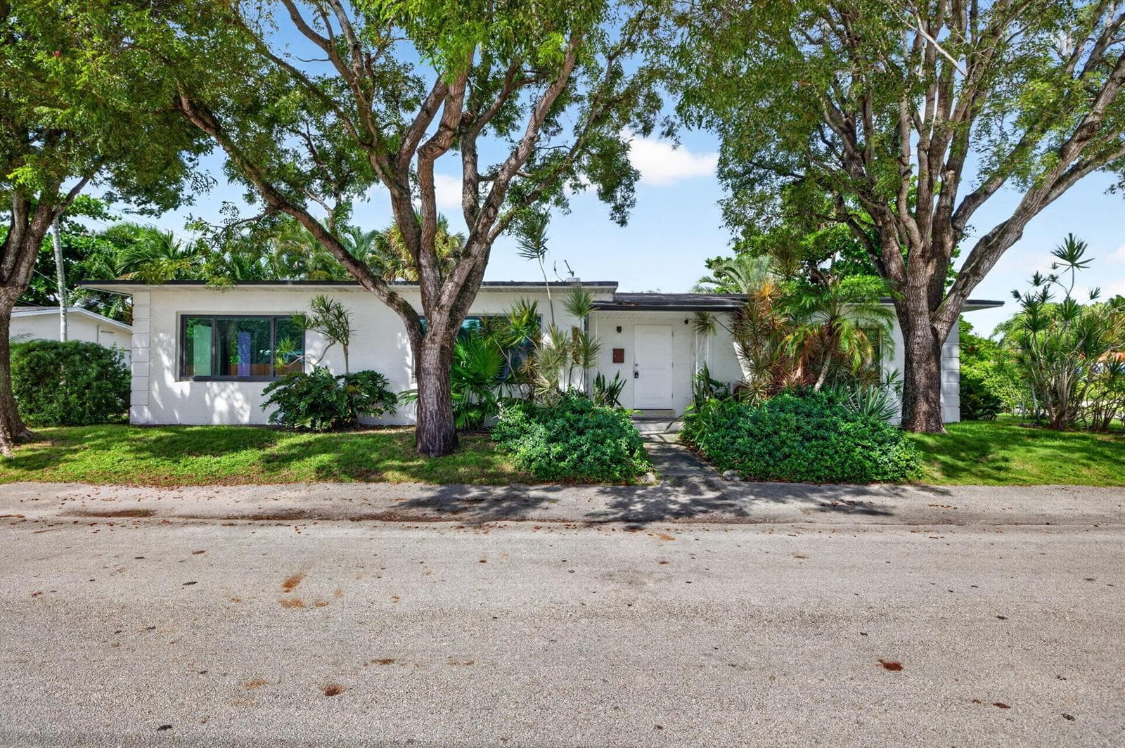 2-web-or-mls-699A2140