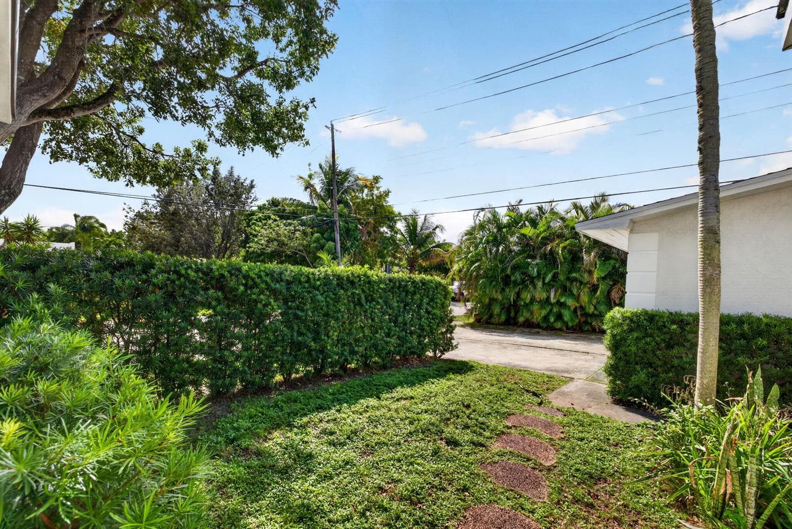 32-web-or-mls-699A2427