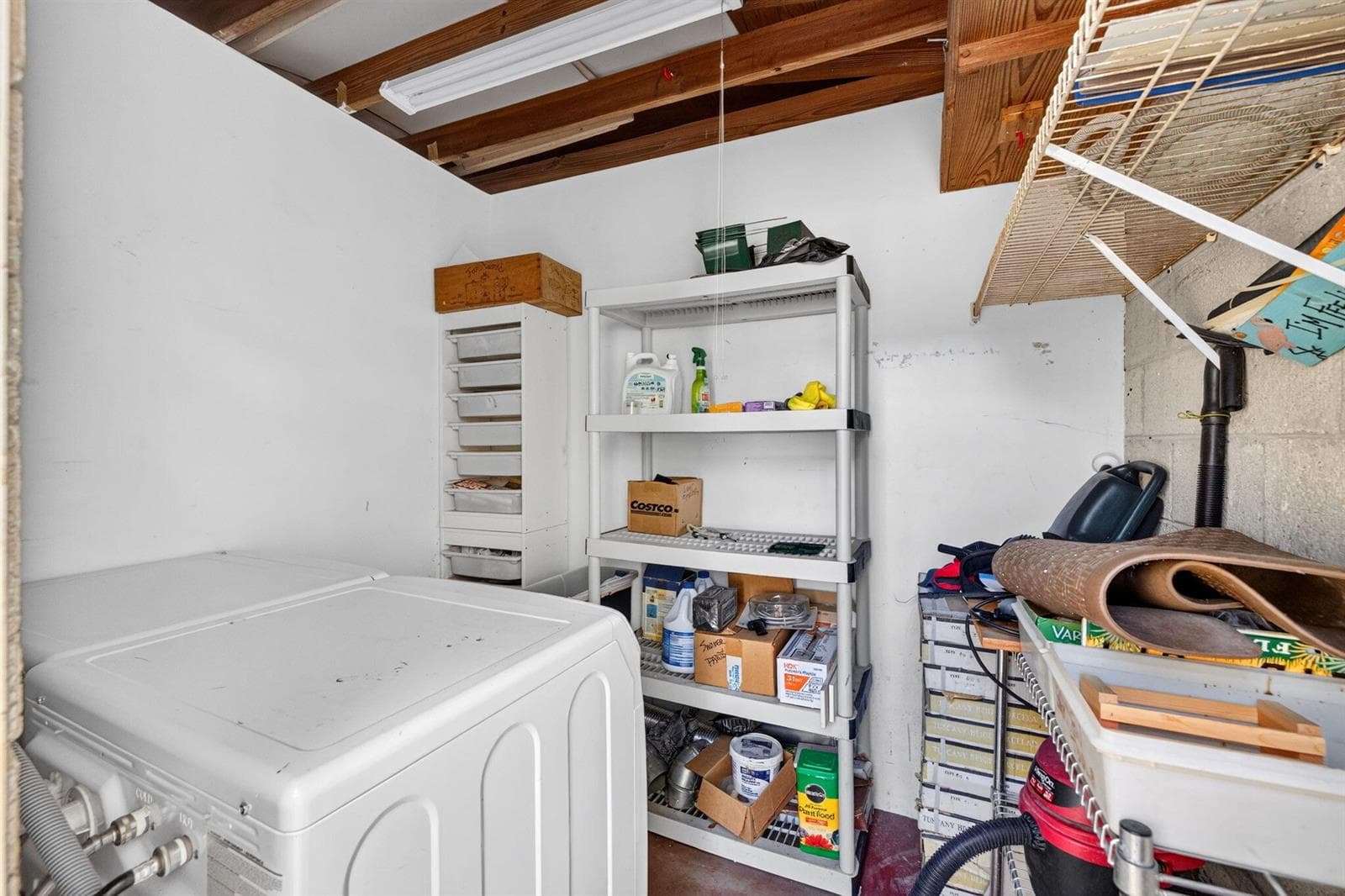 68-web-or-mls-699A2460