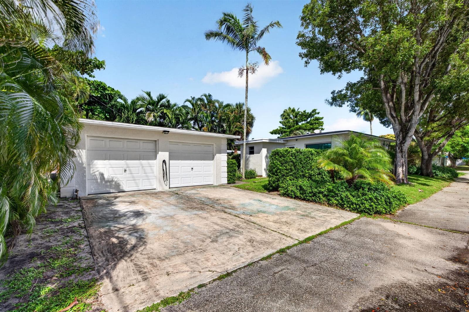 4-web-or-mls-699A2156