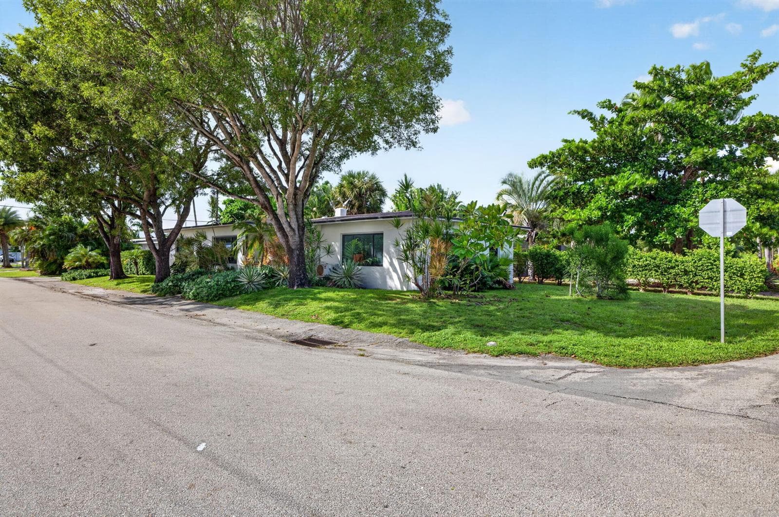 70-web-or-mls-699A2815