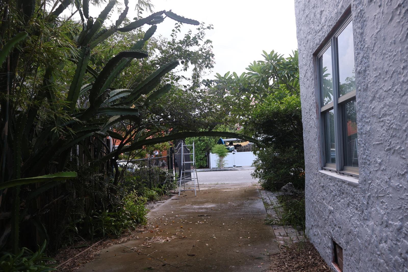 Pathway Toward the House