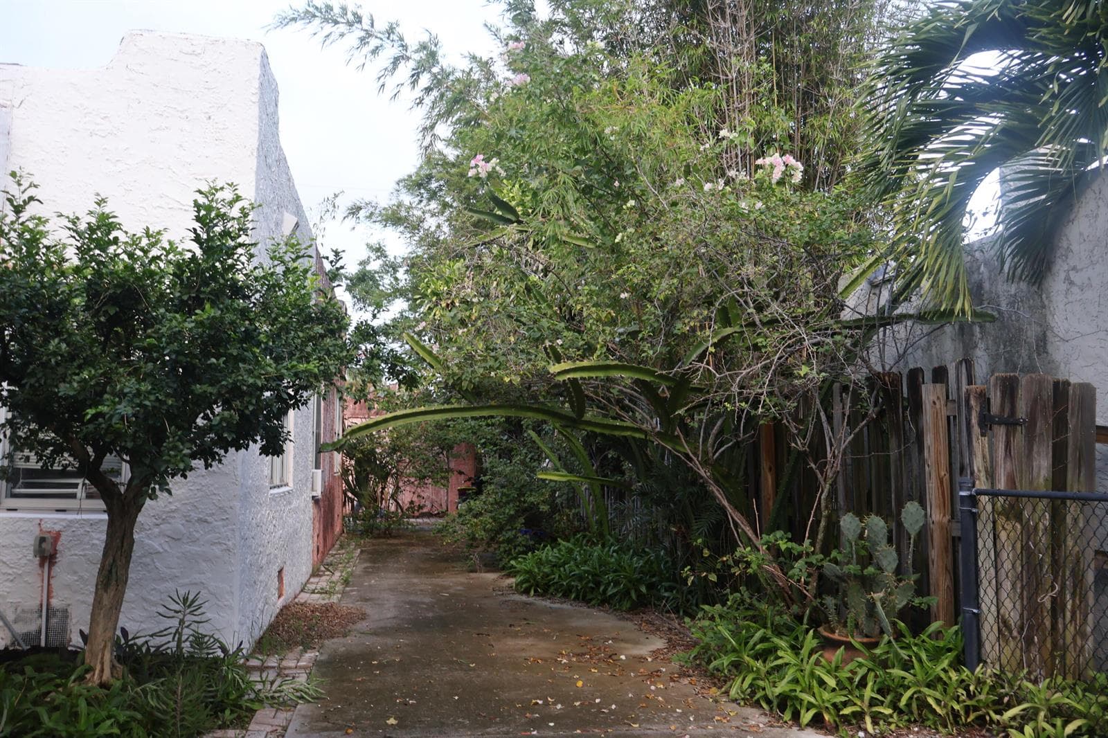 Driveway and Walkway