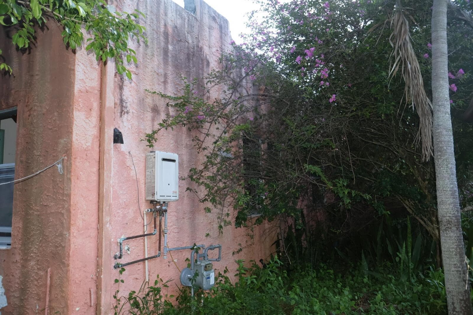 Side Wall of House
