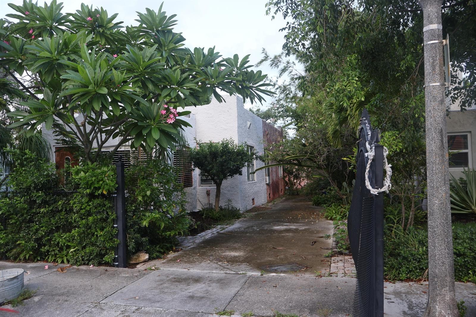 Driveway View
