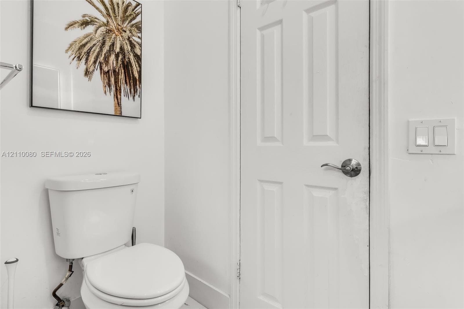 Four-panel interior door with a brushed-nickel lever handle, white vitreous china toilet, and dual-rocker light switch