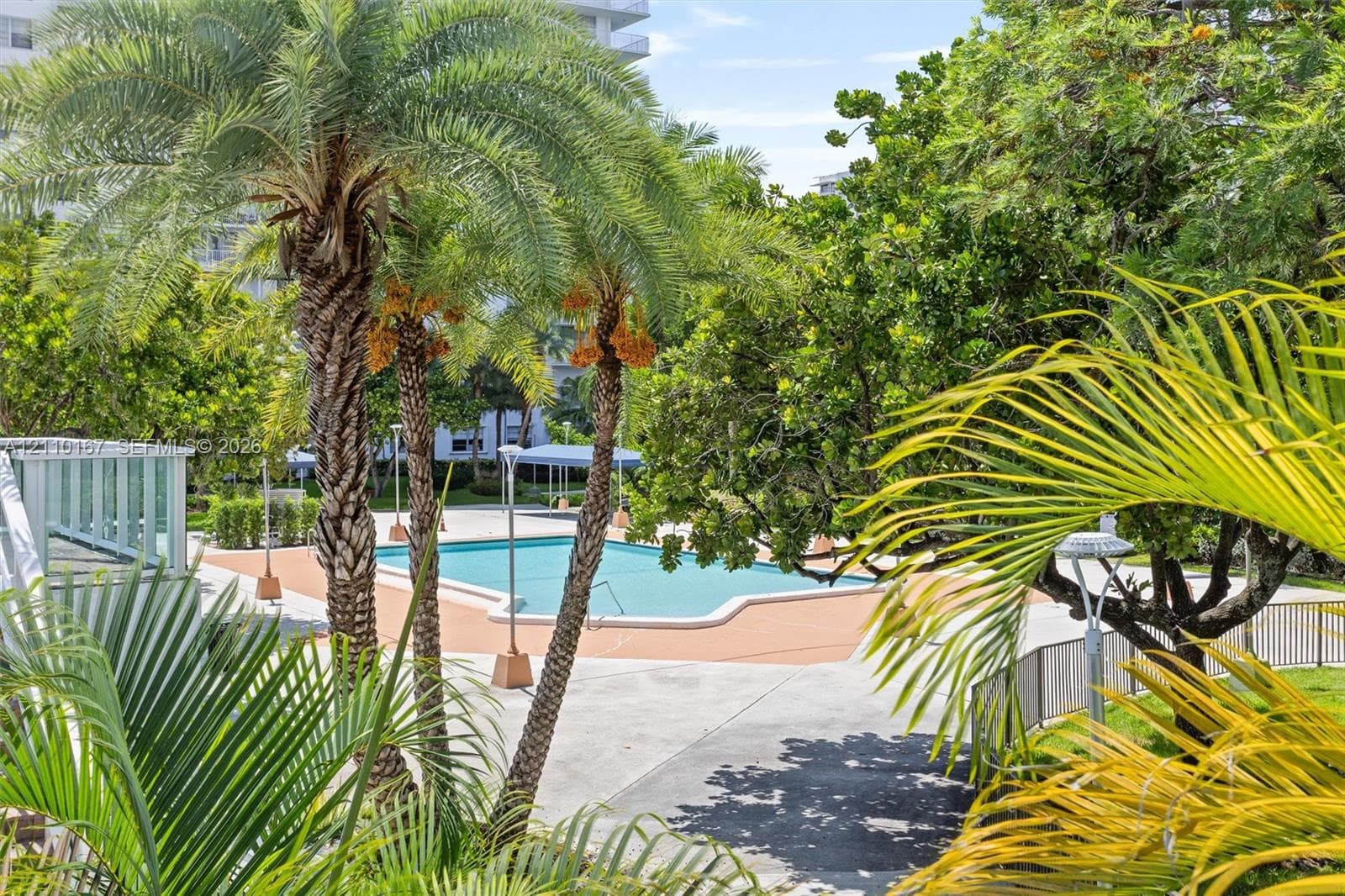 Outdoor swimming pool with a paved deck, surrounded by mature palm trees and established landscaping