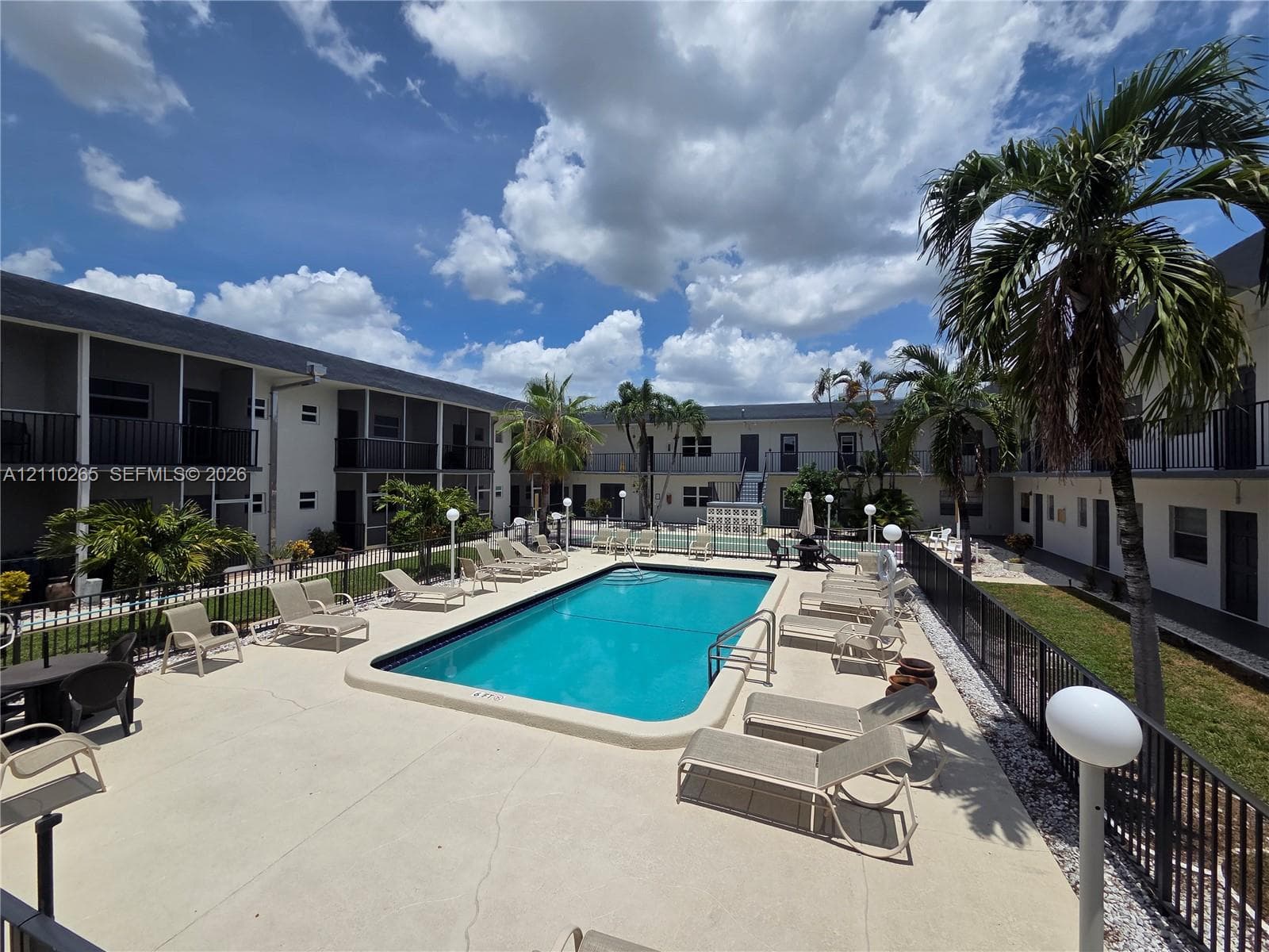 In-ground swimming pool featuring a concrete deck, metal perimeter fencing, and established palm trees