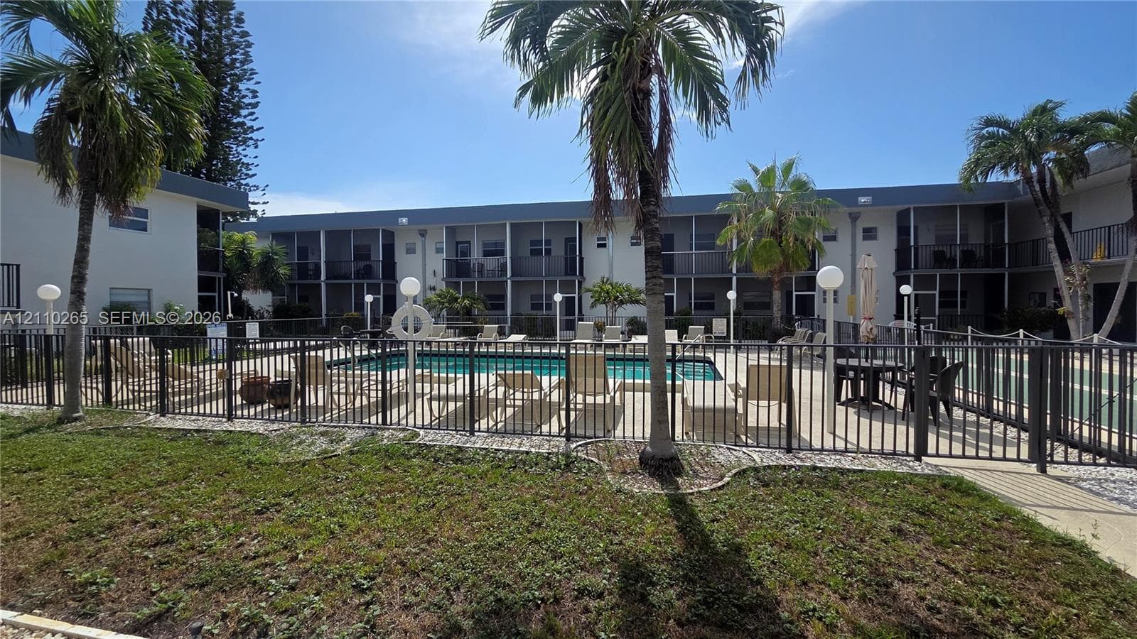 Swimming pool with a paved deck, perimeter metal fencing, and surrounding palm trees