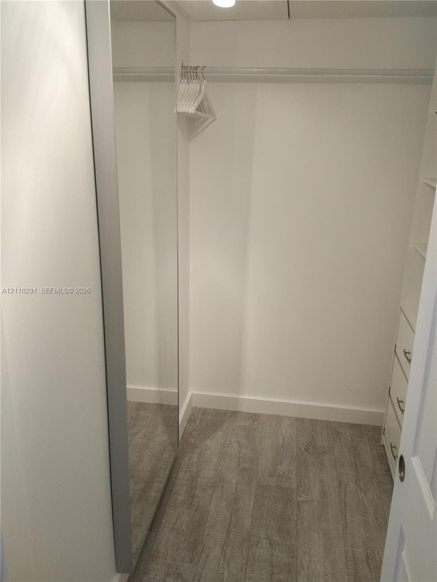 Walk-in closet featuring wood-finish flooring, a full-length mirror, integrated shelving, and a built-in closet rod
