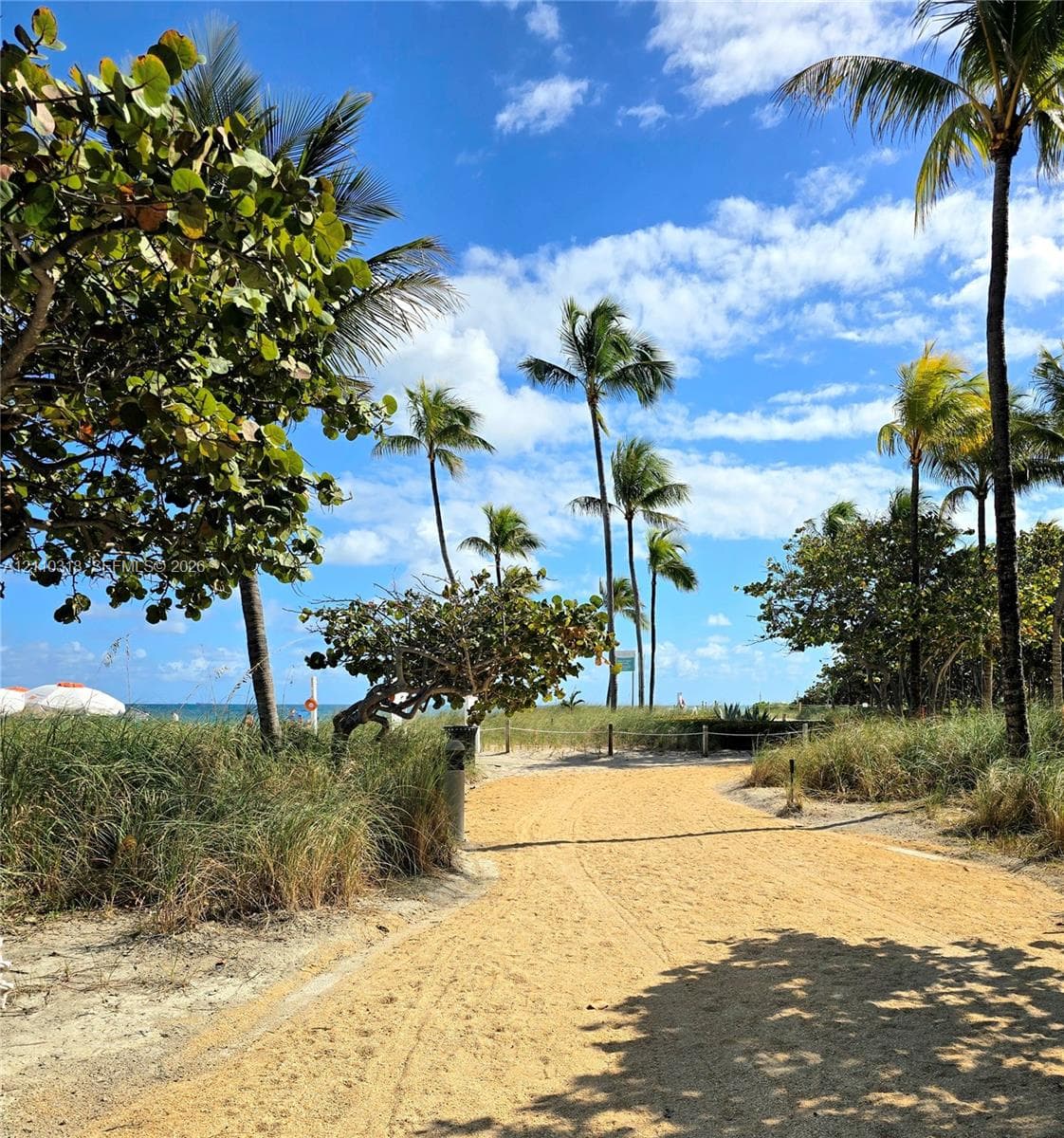 The Tiffany of Bal Harbour · #208 in Bal Harbour - Photo 15