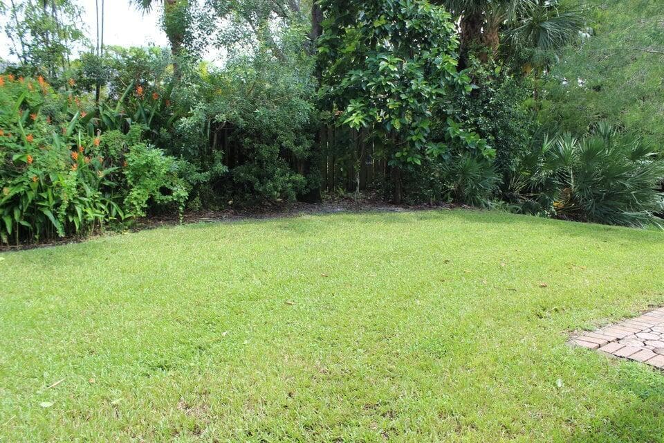 Yard