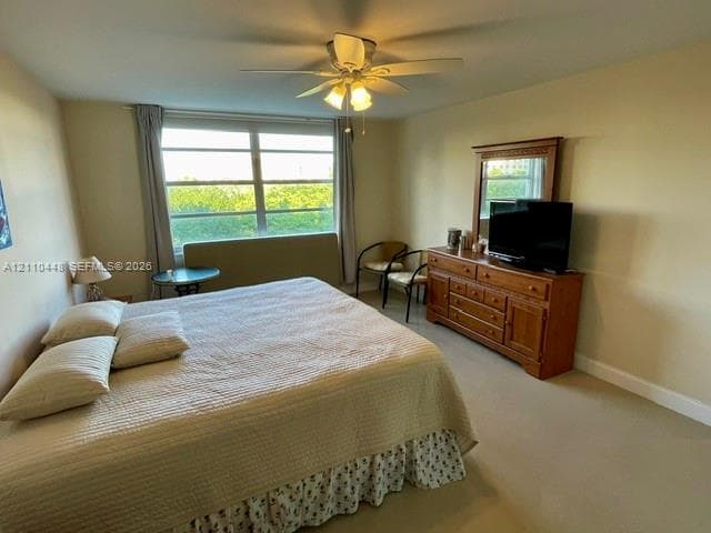 Large multi-pane window with natural lighting, neutral wall-to-wall carpeting, and a central ceiling fan with multi-light fixture