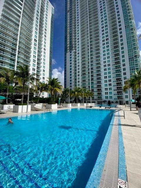 Expansive swimming pool with tiled basin, expansive paver deck, and mature palm tree landscaping