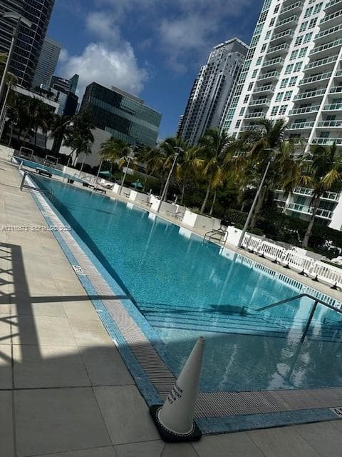 Rectangular swimming pool featuring tile coping, a metal handrail, and a surrounding paved deck with mature palm trees