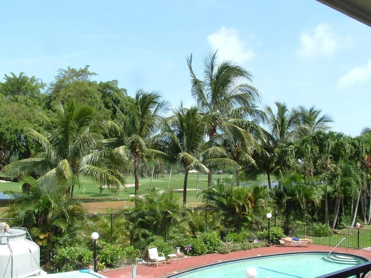 view
