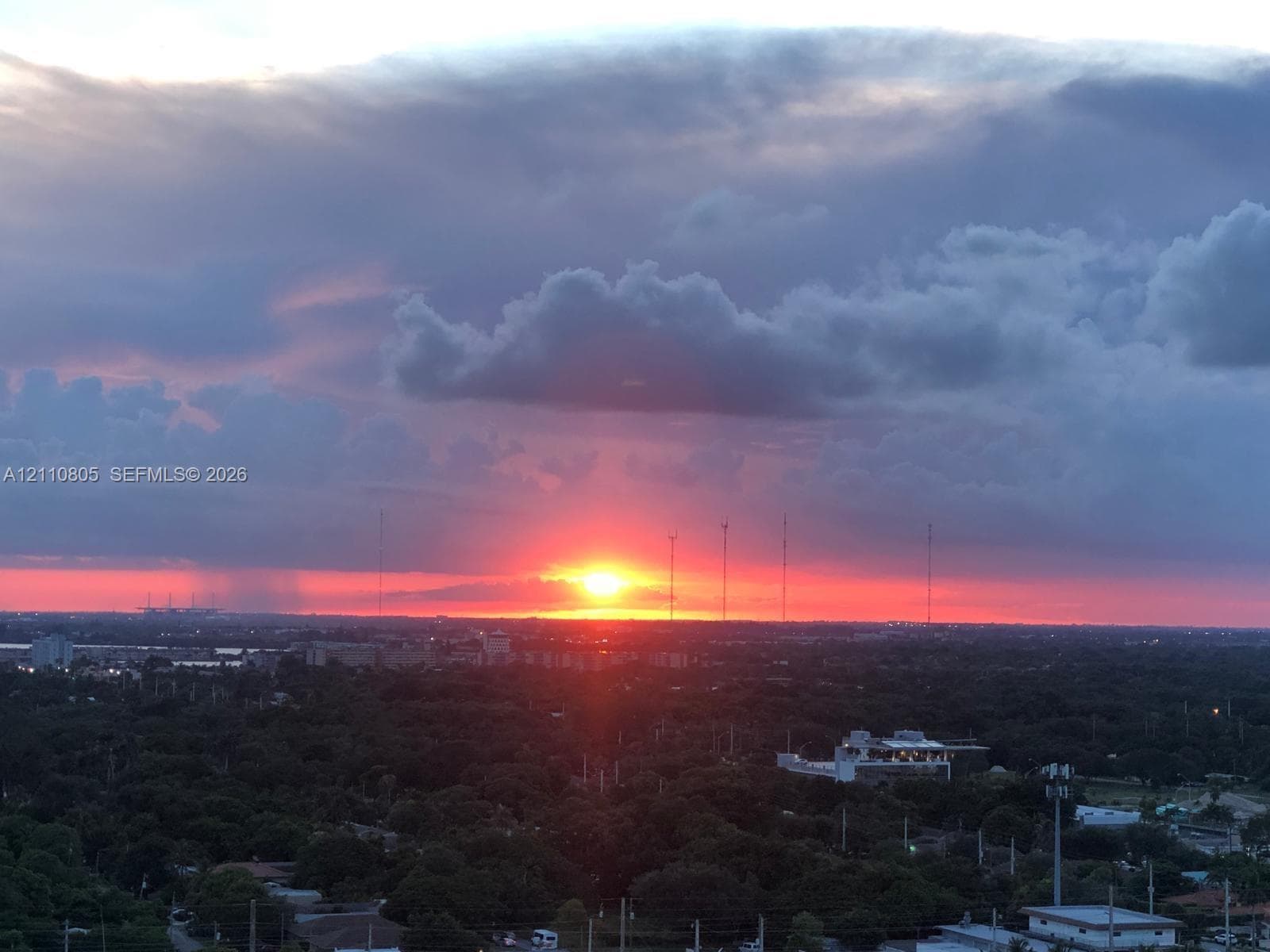 Elevated vantage point featuring expansive horizon scenery and a vivid sunset over a canopy of mature trees