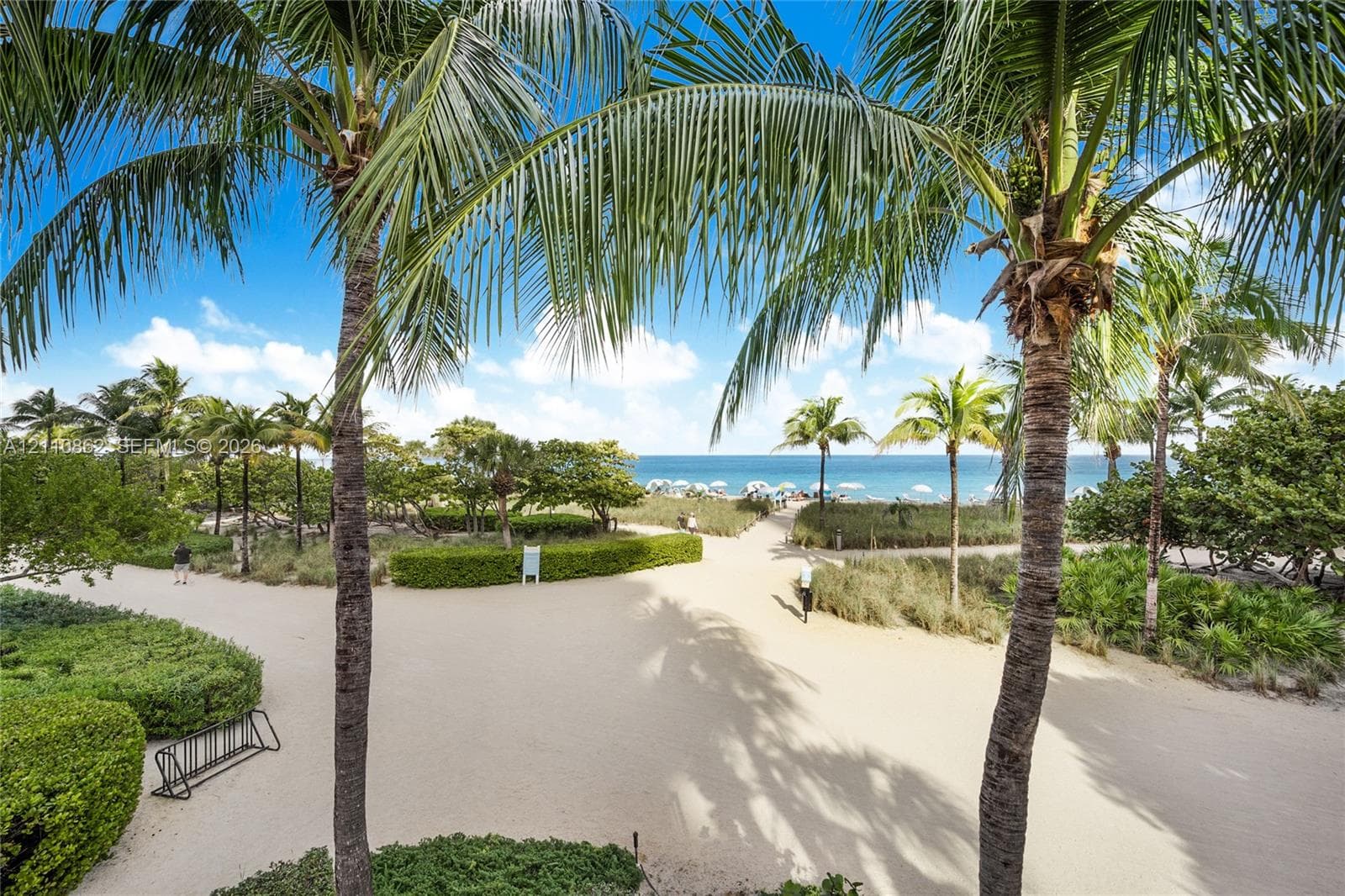 Back of the Balmoral  grounds featuring mature palm trees, manicured hedges, sand pathways, and direct ocean access