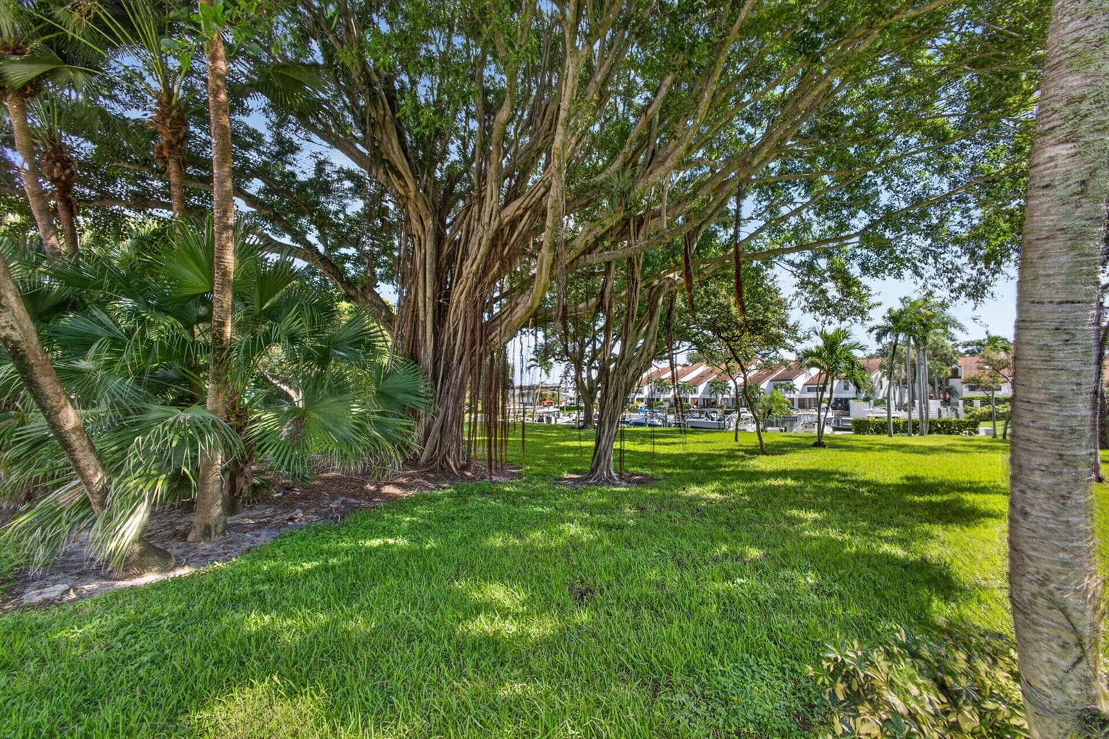 53-web-or-mls-5D1A8020