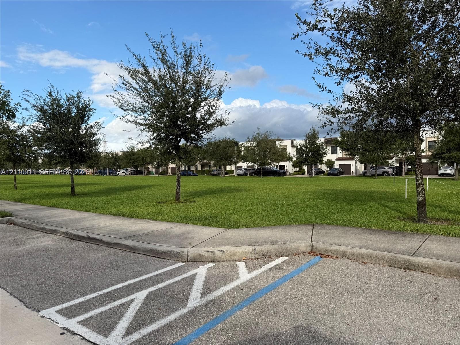Expansive green space featuring mature trees and concrete sidewalks