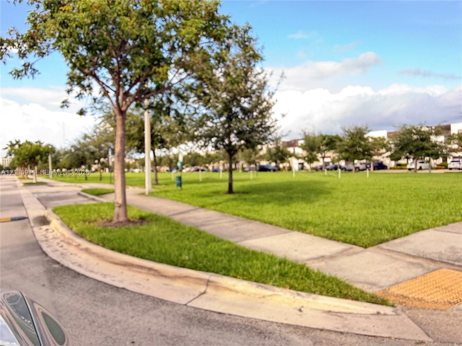Waterfront setting featuring a paved roadway, concrete sidewalks, and mature trees