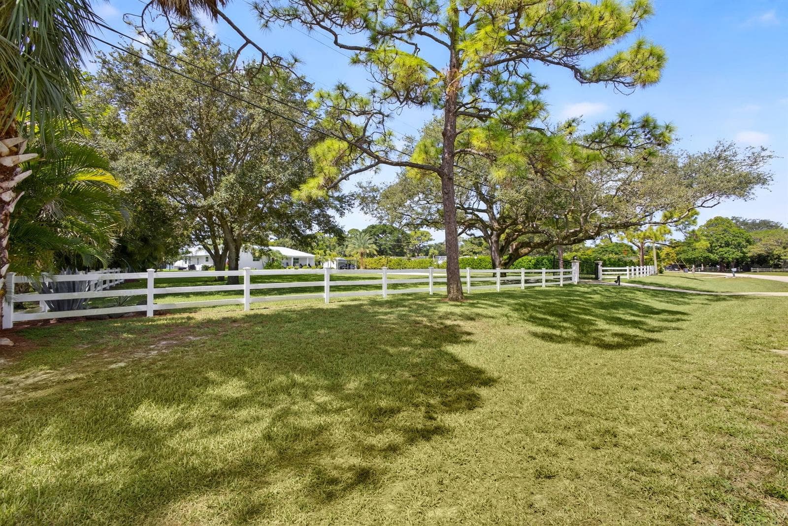 Yard