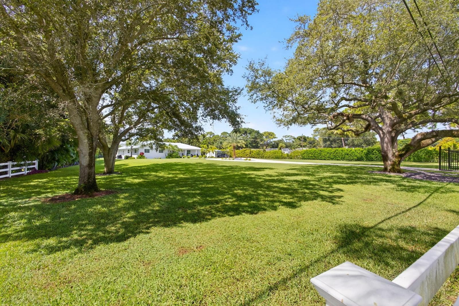 Yard