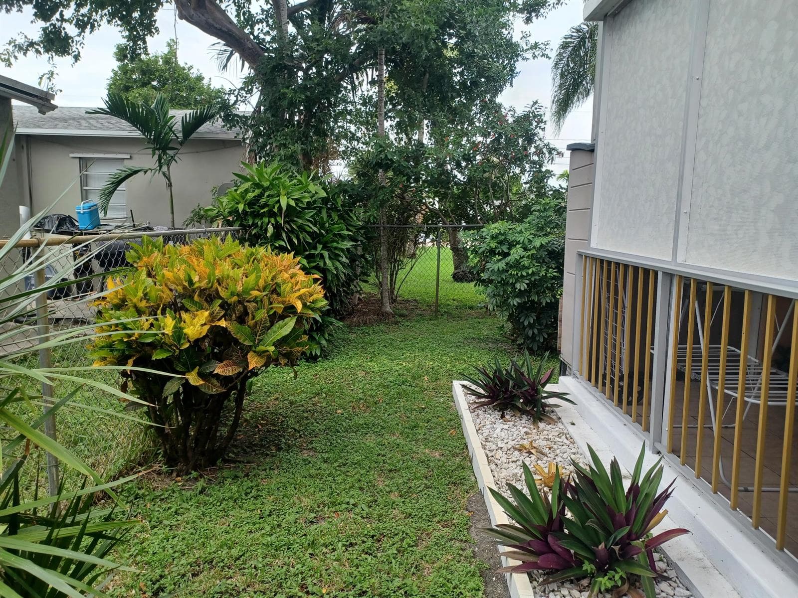 exterior back yard