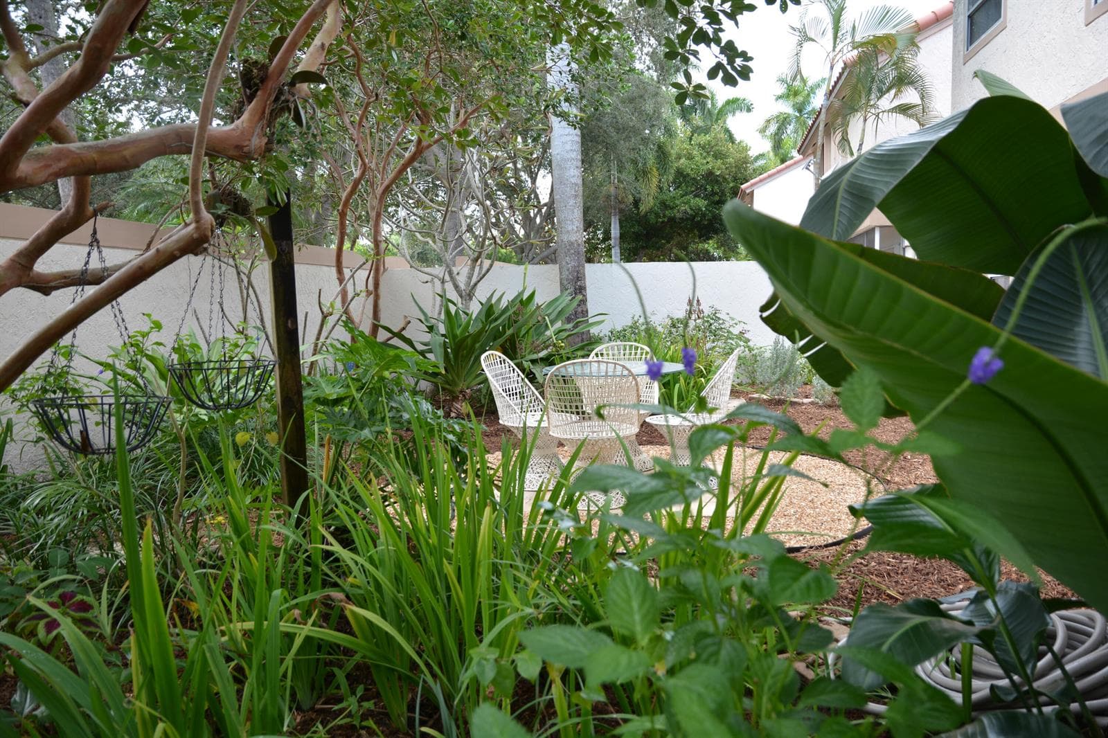 Private Backyard