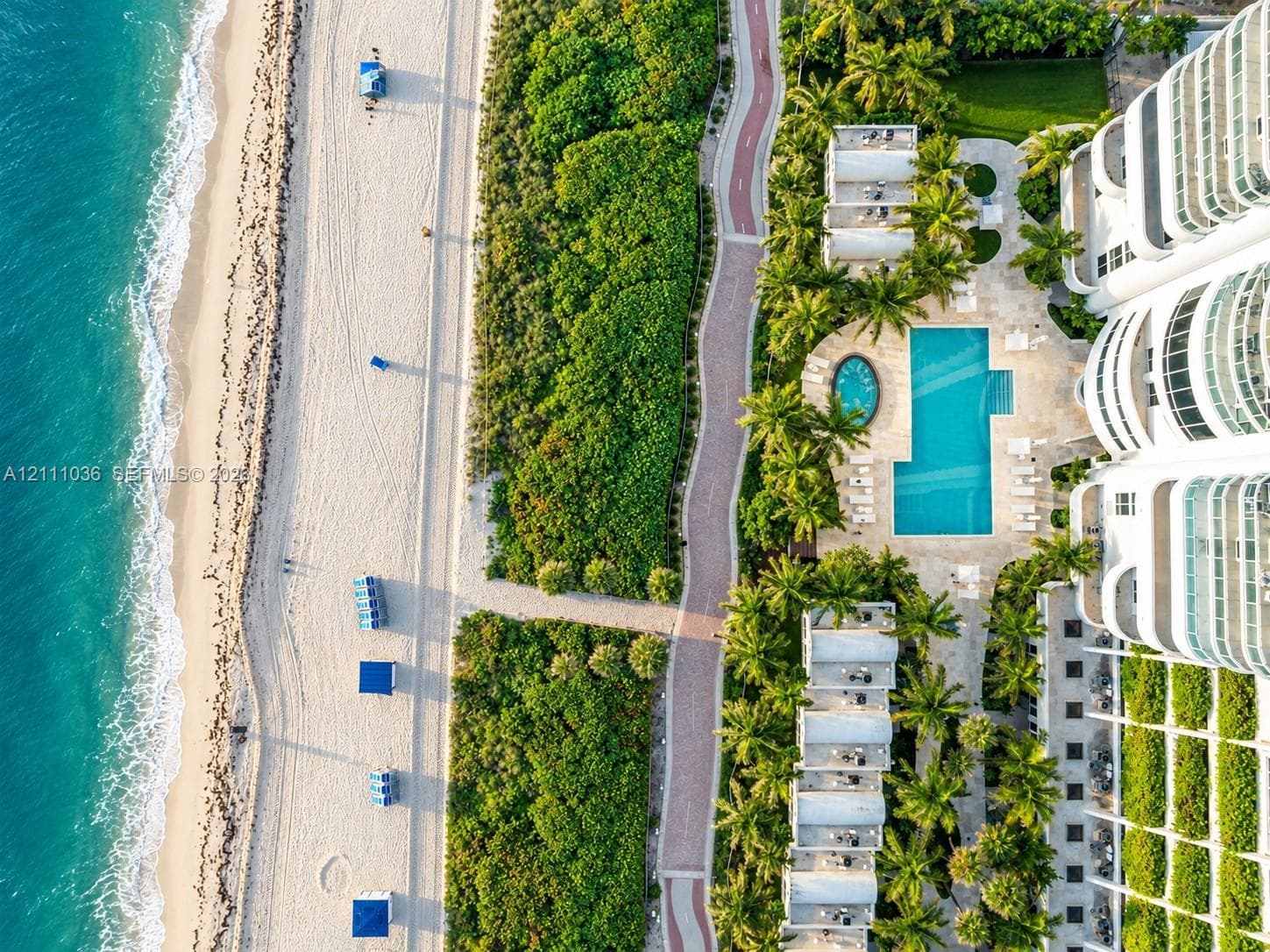 Oceanfront property featuring direct beach access, a rectangular swimming pool, a separate circular spa, paved pedestrian pathways, and lush tropical landscaping