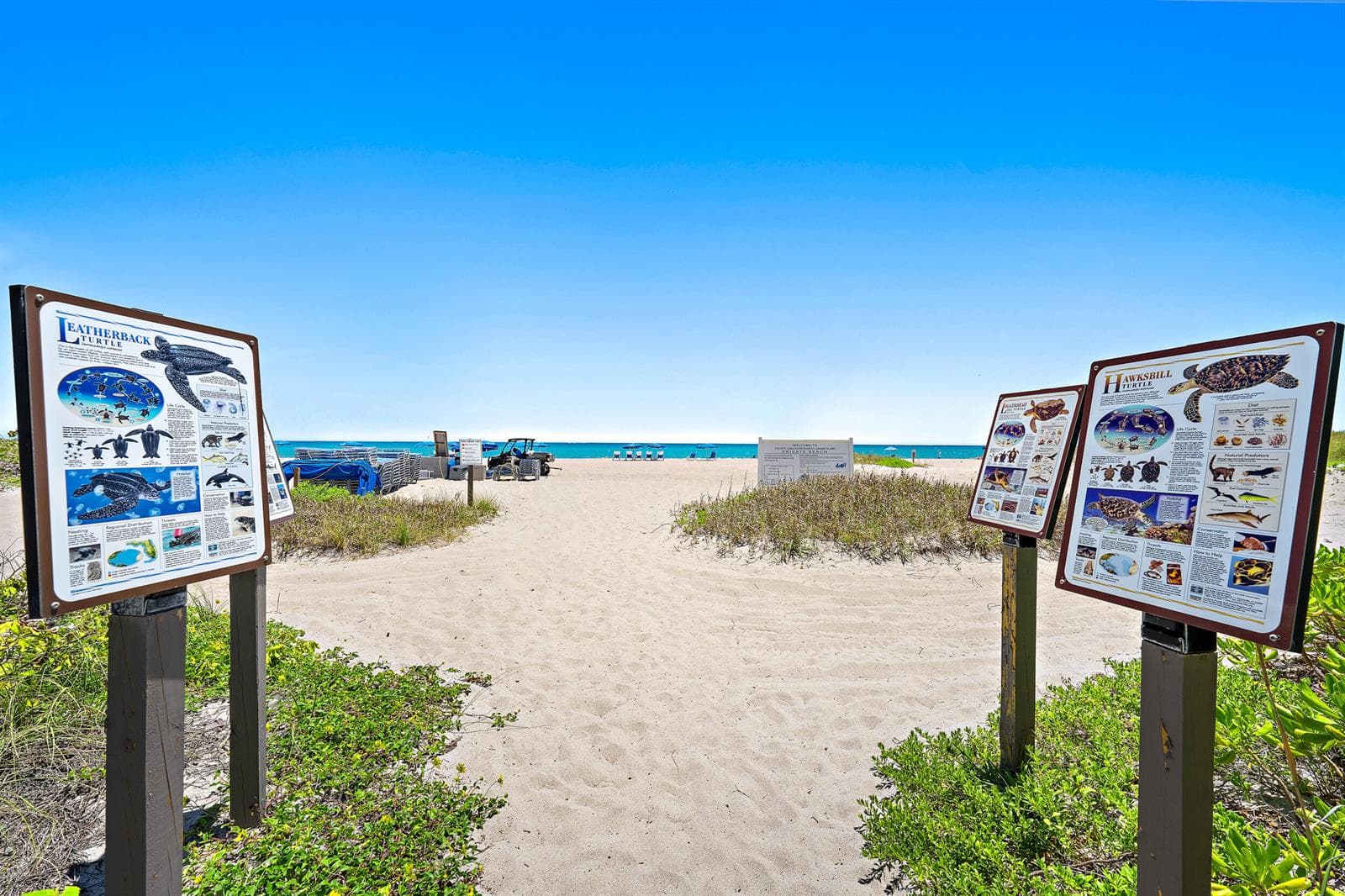 Ritz~ Beachfront