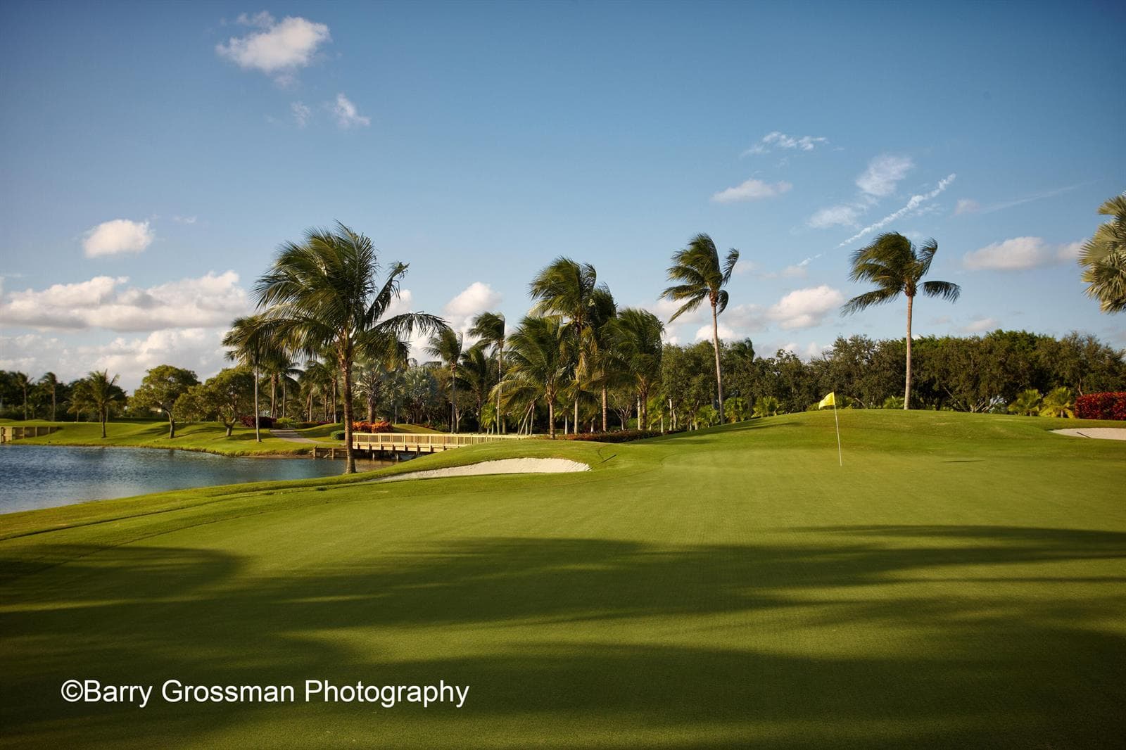 Woodfield Golf