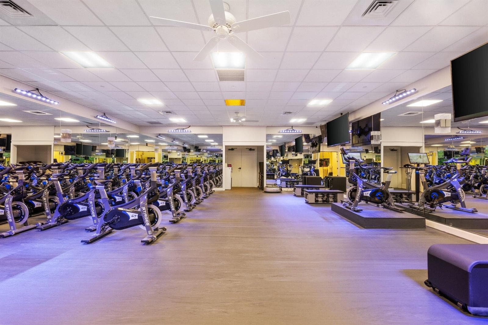 14 - Gym 2 Spin