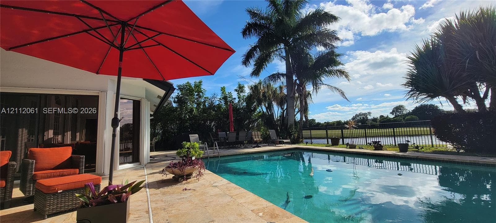 swimming pool with natural stone decking, mature palm trees, and rear perimeter fencing