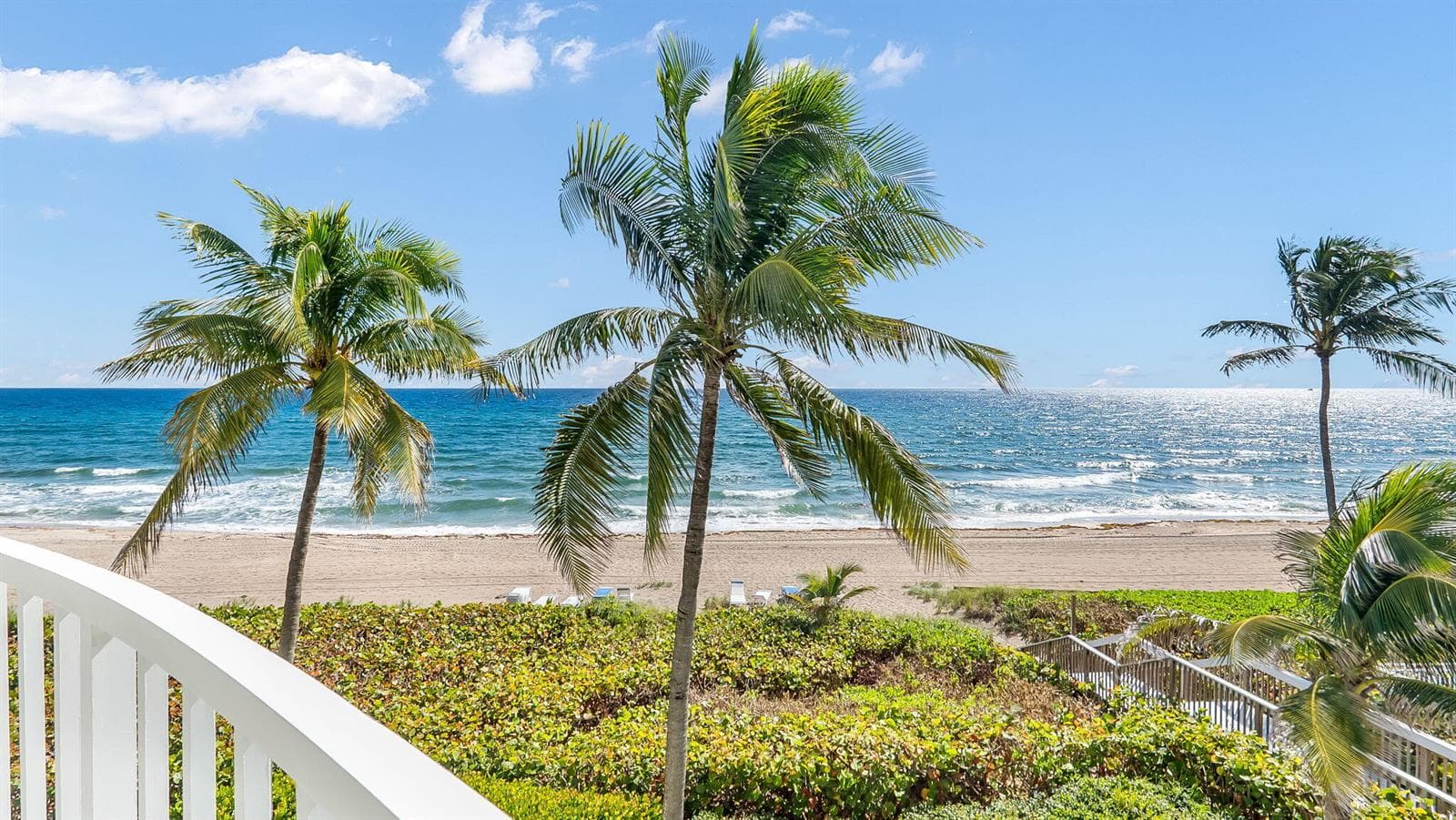 Oceanfront Views
