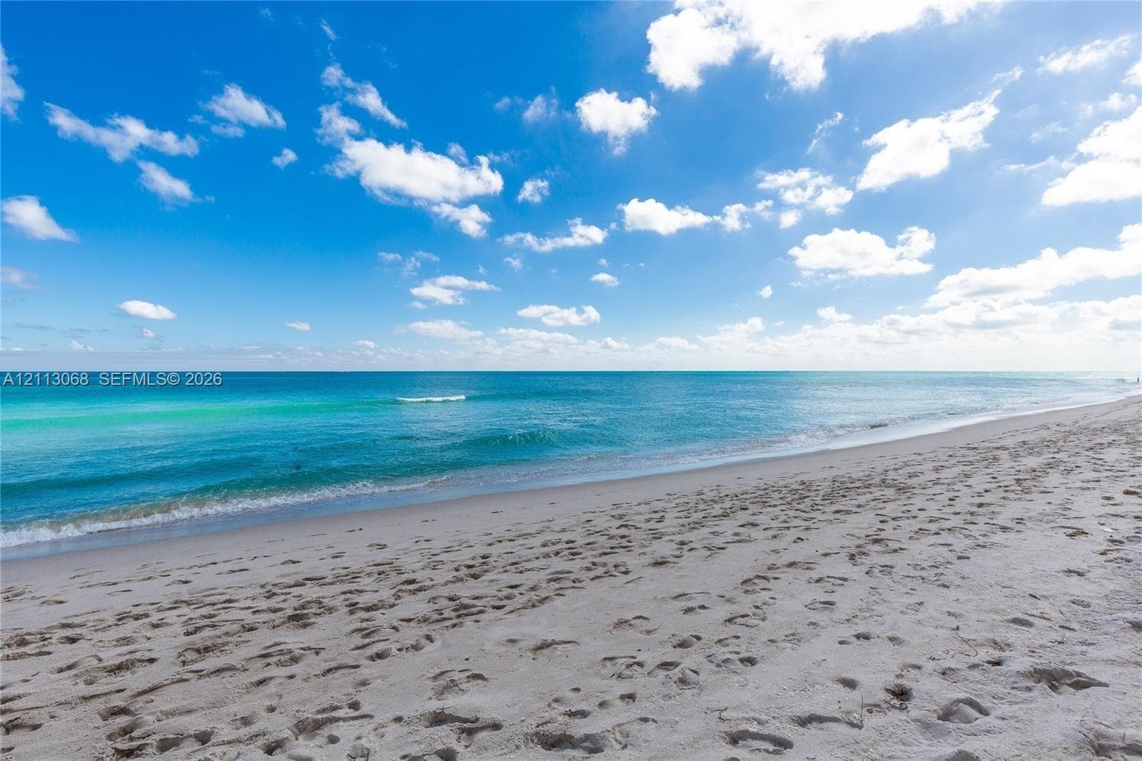 Sandy shoreline and direct oceanfront access