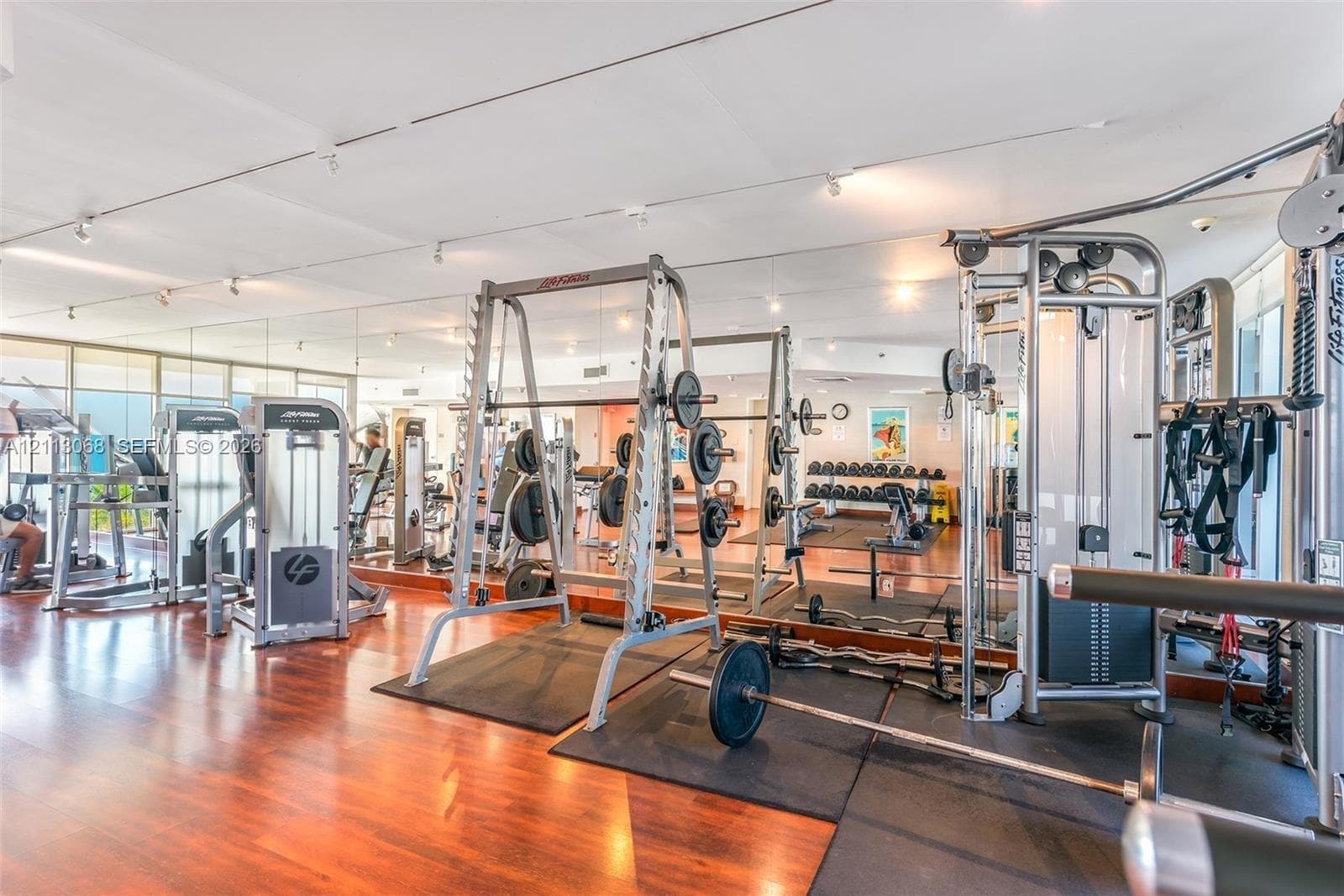 Fitness facility featuring wood-finish flooring, full-wall mirrors, and track lighting