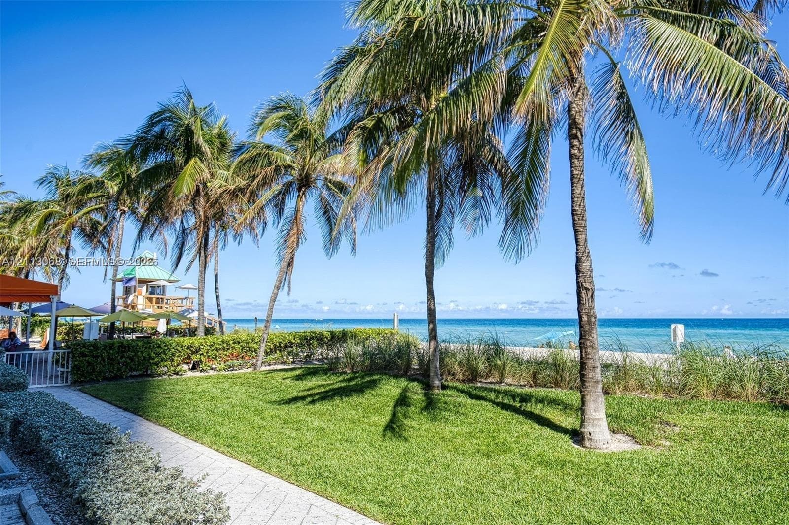 Outdoor grounds featuring a manicured lawn, stone-paved walkway, and mature palm trees