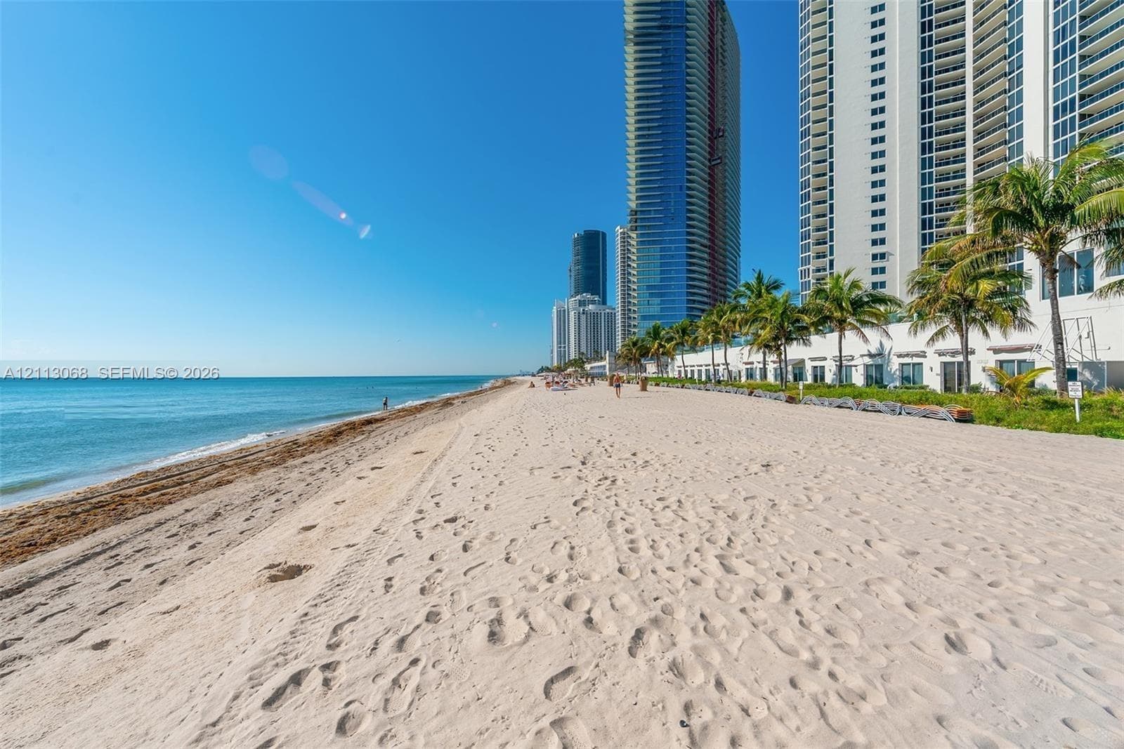 Direct oceanfront access featuring a sandy beach, mature palm trees, and high-rise structural architecture