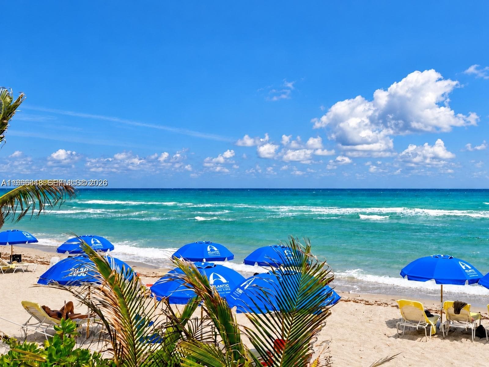 00 · #803 in Hallandale Beach - Photo 1