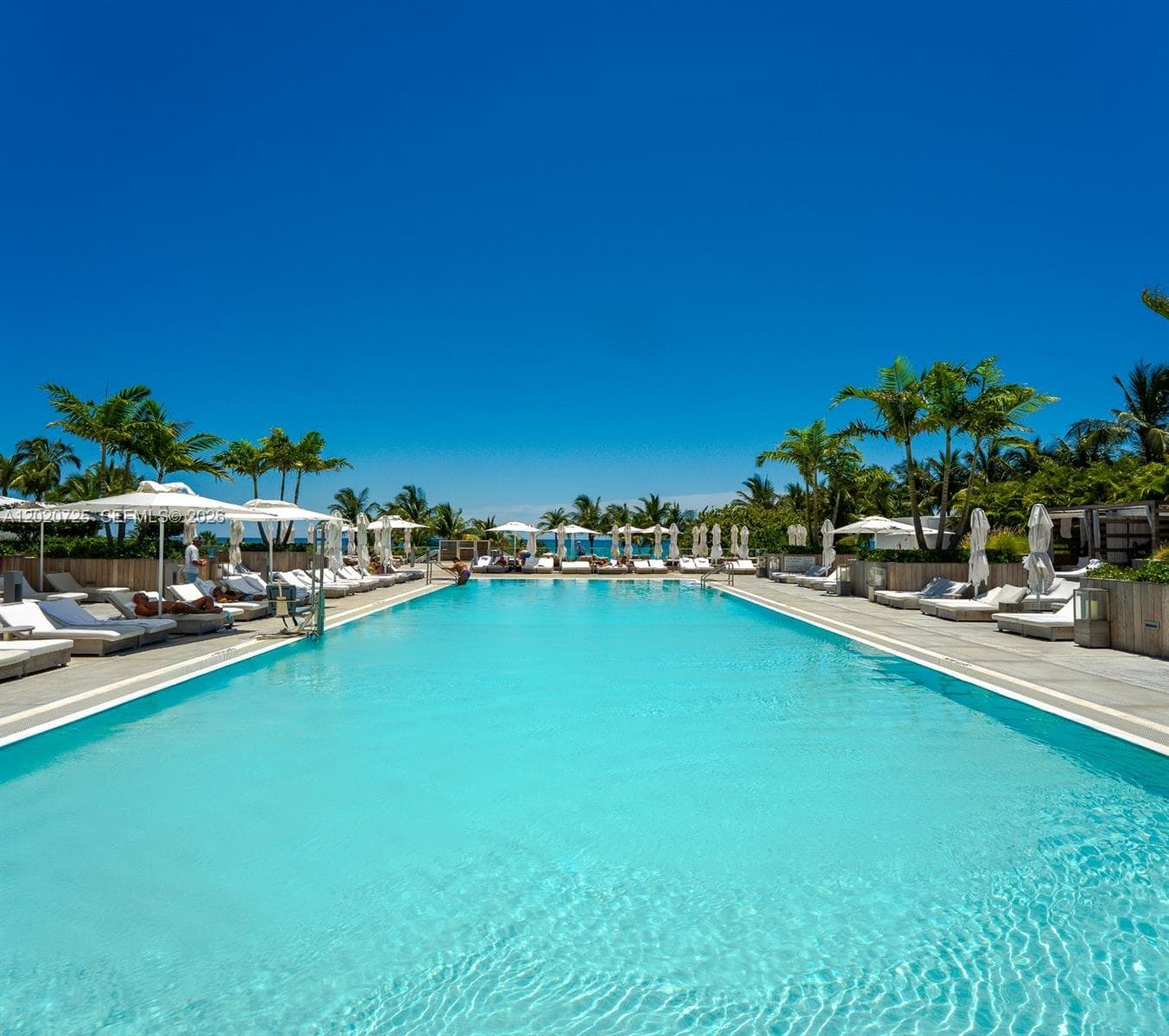 Roney Palace · #804 in Miami Beach - Photo 1