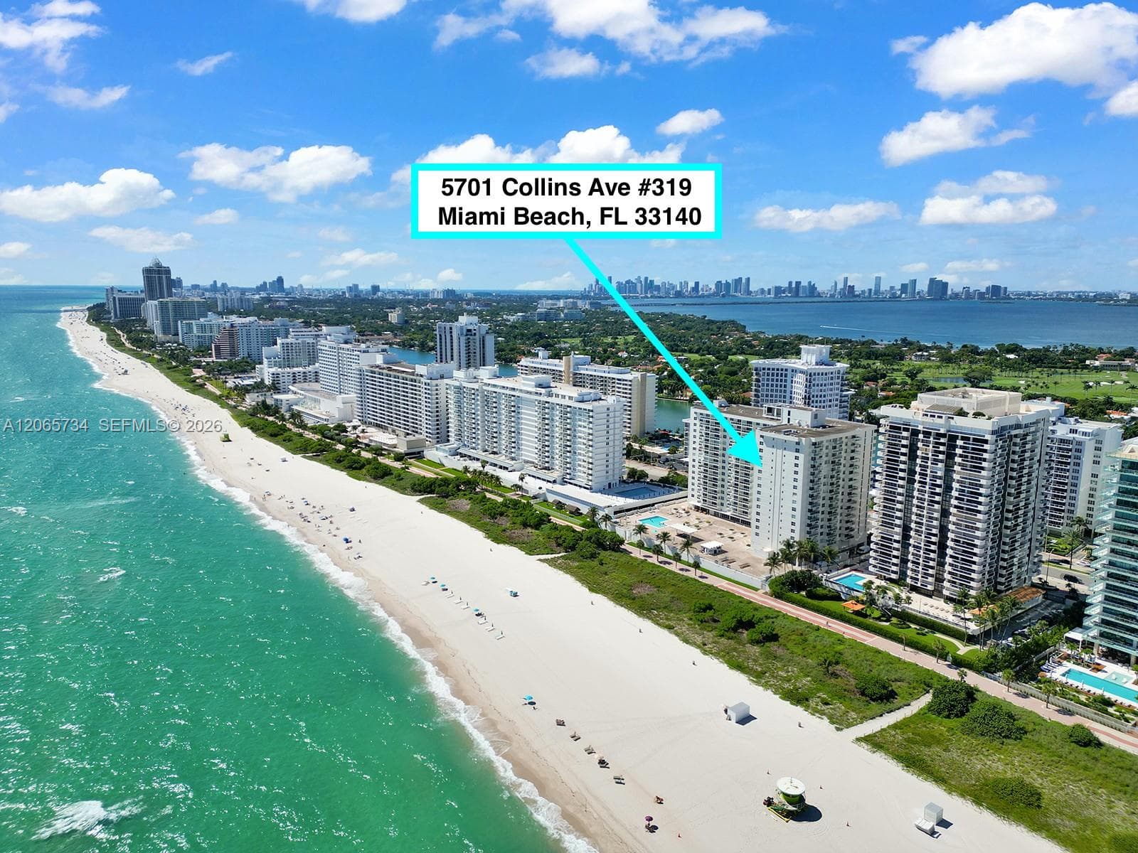 ARLEN BEACH CONDO · #319 in Miami Beach - Photo 1